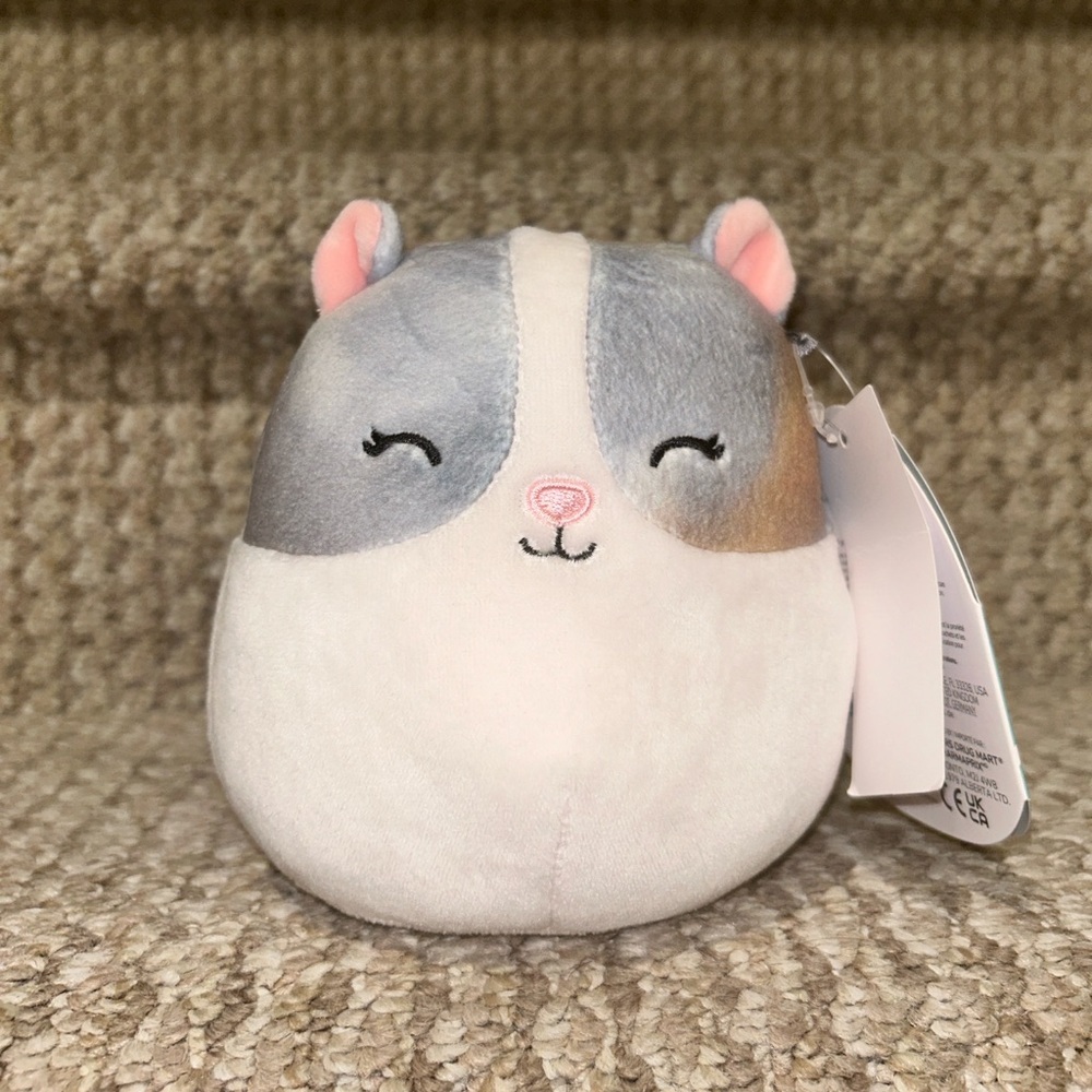 5 in Squishmallow named Pax. Brand new. Collectors.